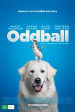 Watch Oddball Moviesjoy