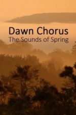 Watch Dawn Chorus: The Sounds of Spring Moviesjoy