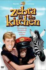 Watch Zebra in the Kitchen Moviesjoy