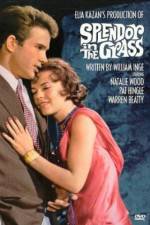 Watch Splendor in the Grass Moviesjoy