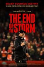Watch The End of the Storm Moviesjoy