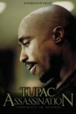 Watch Assassination: Conspiracy or Revenge Moviesjoy