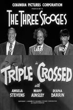 Watch Triple Crossed Moviesjoy