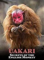 Watch Uakari: Secrets of the English Monkey Moviesjoy