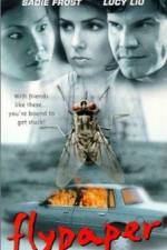 Watch Flypaper Moviesjoy