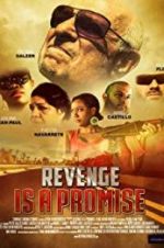 Watch Revenge Is a Promise Moviesjoy