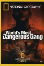 Watch National Geographic World's Most Dangerous Gang Moviesjoy