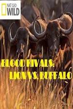 Watch National Geographic - Blood Rivals: Lion vs. Buffalo Moviesjoy