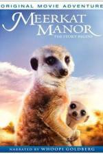 Watch Meerkat Manor The Story Begins Moviesjoy