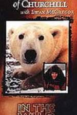 Watch The Polar Bears of Churchill with Ewan McGregor Moviesjoy