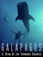 Watch Galapagos: Realm of Giant Sharks Moviesjoy