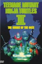 Watch Teenage Mutant Ninja Turtles II: The Secret of the Ooze Moviesjoy