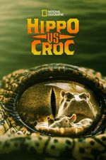 Watch Hippo vs Croc Moviesjoy