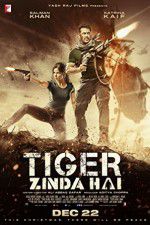 Watch Tiger Zinda Hai Moviesjoy