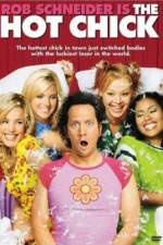 Watch The Hot Chick Moviesjoy