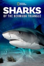 Watch Sharks of the Bermuda Triangle (TV Special 2020) Moviesjoy