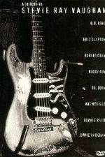 Watch A Tribute to Stevie Ray Vaughan Moviesjoy