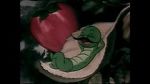 Watch The Wacky Worm (Short 1941) Moviesjoy