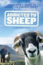 Watch Addicted to Sheep Moviesjoy