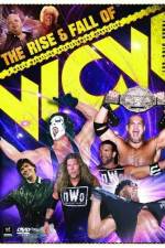 Watch WWE The Rise and Fall of WCW Moviesjoy