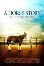 Watch A Horse Story Moviesjoy