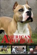Watch American Pit Bull Moviesjoy