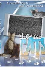 Watch Shorts for Cats Moviesjoy