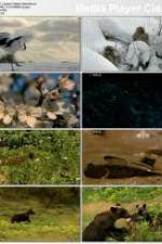 Watch National Geographic: Japans Hidden Secrets Moviesjoy