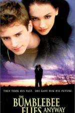 Watch The Bumblebee Flies Anyway Moviesjoy