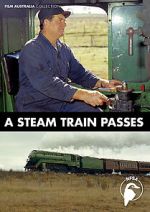 Watch A Steam Train Passes (Short 1974) Moviesjoy
