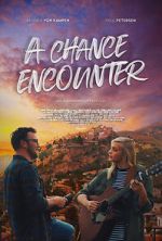 Watch A Chance Encounter Moviesjoy