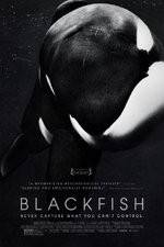 Watch Blackfish Moviesjoy