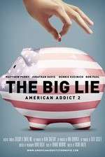 Watch American Addict 2 The Big Lie Moviesjoy