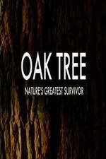Watch Oak Tree Natures Greatest Survivor Moviesjoy