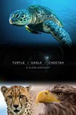 Watch Turtle, Eagle, Cheetah: A Slow Odyssey Moviesjoy