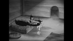 Watch Wise Quacks (Short 1939) Moviesjoy