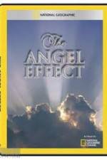 Watch National Geographic Explorer - The Angel Effect Moviesjoy