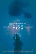 Watch Resident Orca Moviesjoy