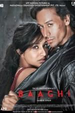 Watch Baaghi Moviesjoy