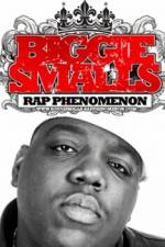 Watch Biggie Smalls Rap Phenomenon Moviesjoy