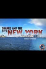 Watch Sharks and the City: New York Moviesjoy
