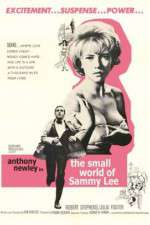 Watch The Small World of Sammy Lee Moviesjoy