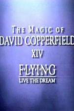 Watch The Magic of David Copperfield XIV Flying - Live the Dream Moviesjoy