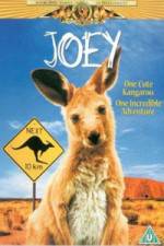 Watch Joey Moviesjoy