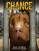 Watch Chance Moviesjoy