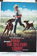 Watch Where the Red Fern Grows Moviesjoy