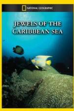 Watch National Geographic Jewels of the Caribbean Sea Moviesjoy