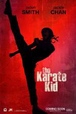 Watch The Karate Kid Moviesjoy