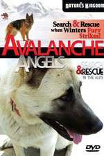 Watch Avalanche Angels Moviesjoy