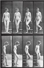 Watch Woman Walking Downstairs Moviesjoy